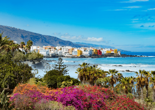 Tenerifi